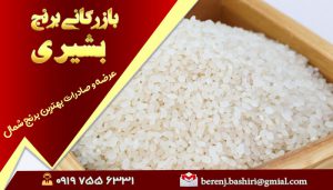 مزایای کاشت برنج فجر برای کشاورزان