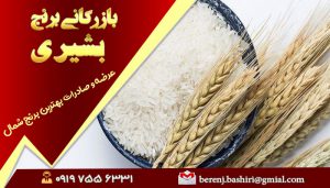 برنج فجر ممتاز چه ویژگی هایی دارد؟