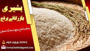 عرضه بهترین نمونه برنج طارم در بازار