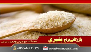 بررسی مسئله خرید برنج فجر